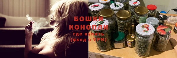 PSILOCYBIN Беломорск