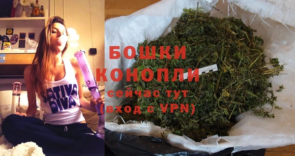 PSILOCYBIN Беломорск
