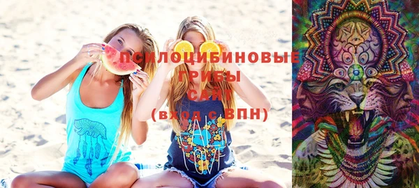 меф Белокуриха