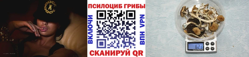 купить  цена  Волчанск  Галлюциногенные грибы прущие грибы 